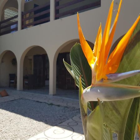 Santo Quintal Hostel Ubatuba Eksteriør bilde