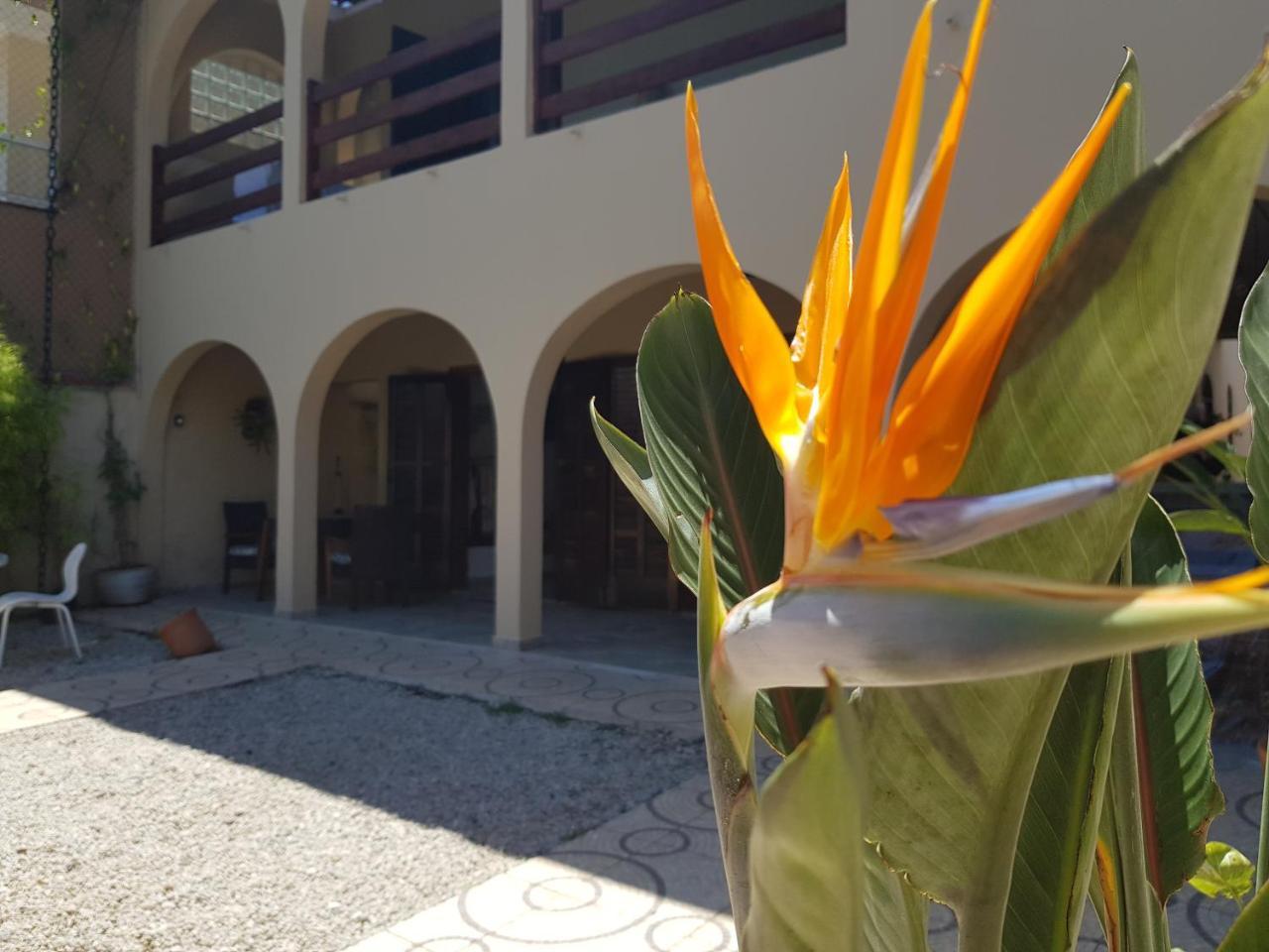 Santo Quintal Hostel Ubatuba Eksteriør bilde